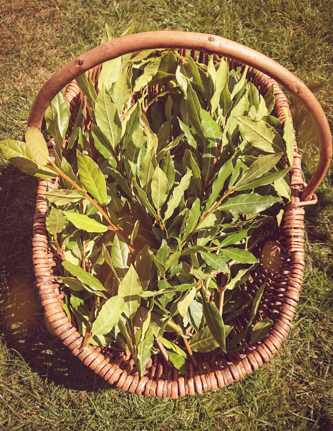 The benefits of&nbsp;Bay