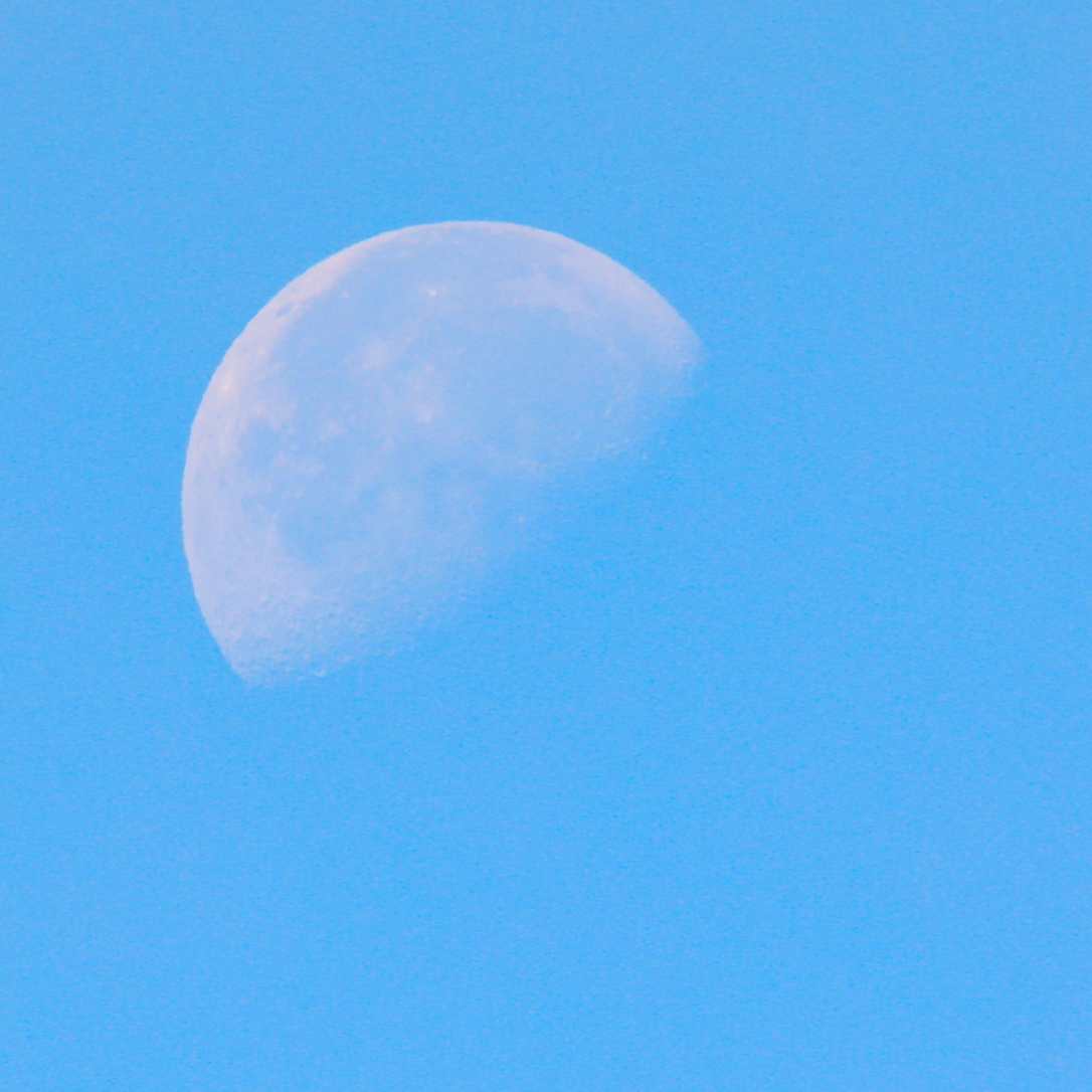 Harvesting with the&nbsp;Moon