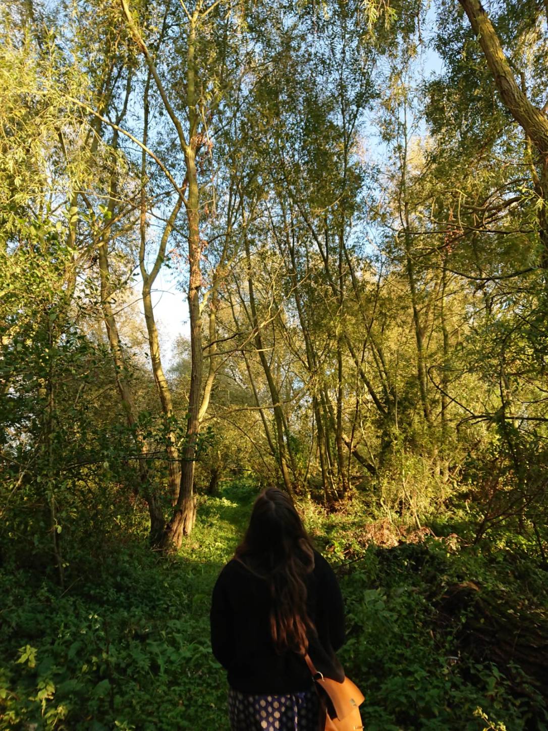 Transitioning to Autumn