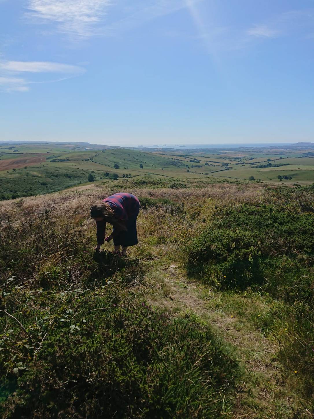 The Intuitive Art of&nbsp;Foraging