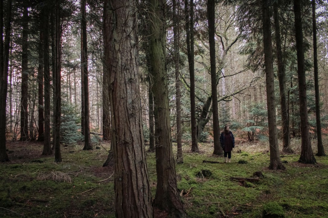 Mindful Moment –&nbsp;Stillness