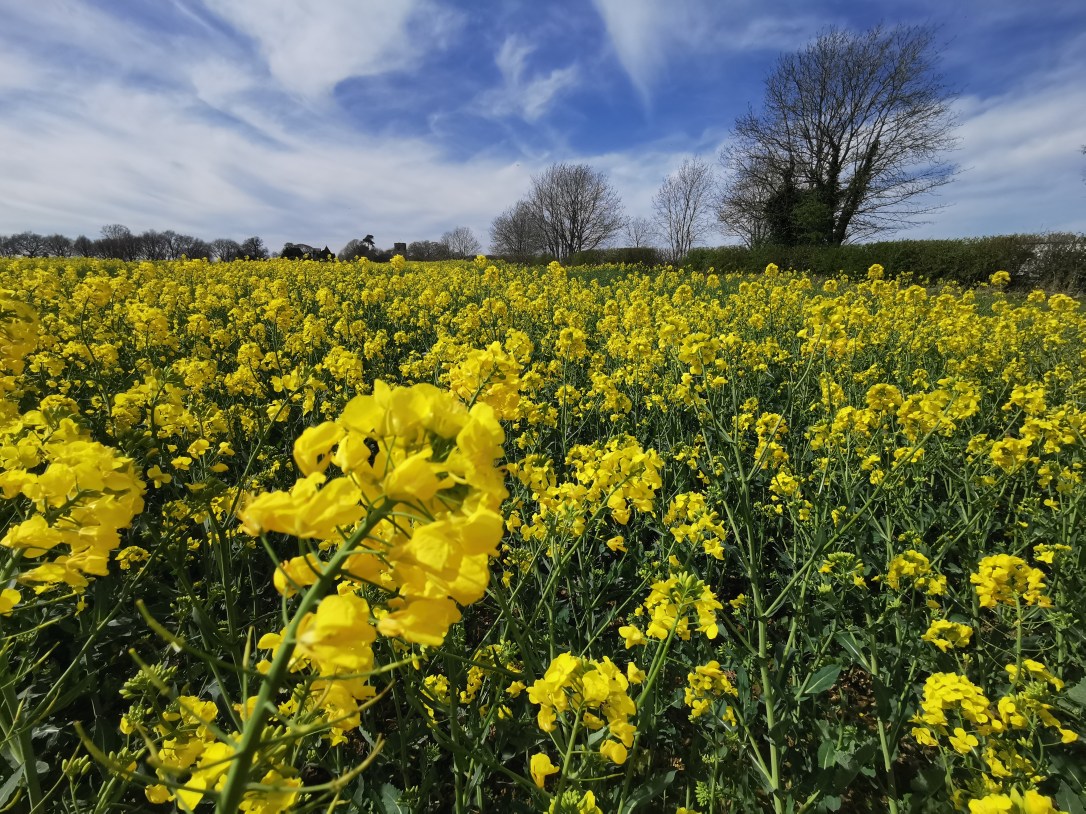 Mindful Spring Practices