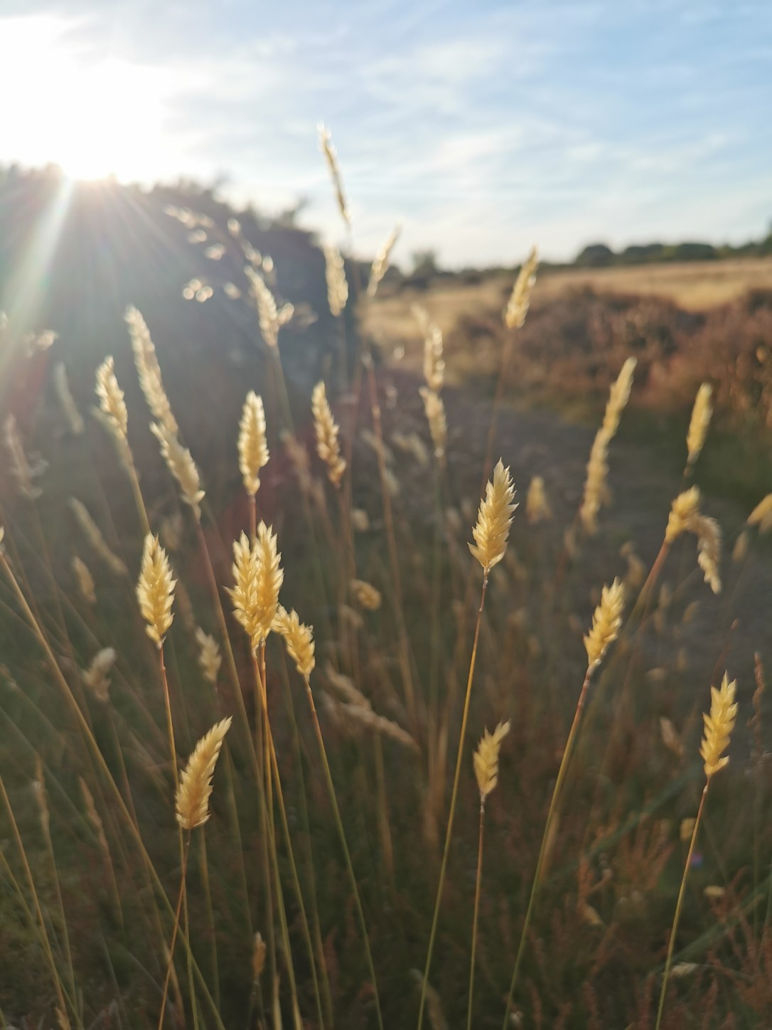 A Guide to&nbsp;Lammas