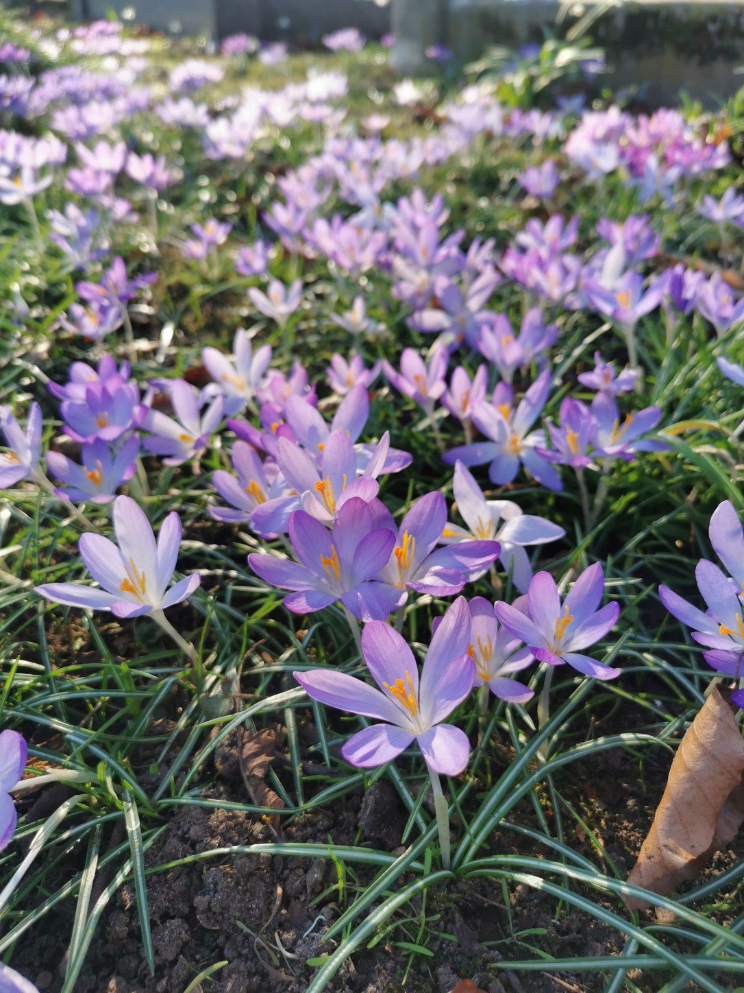 Ostara, Air and Smoke&nbsp;Cleansing