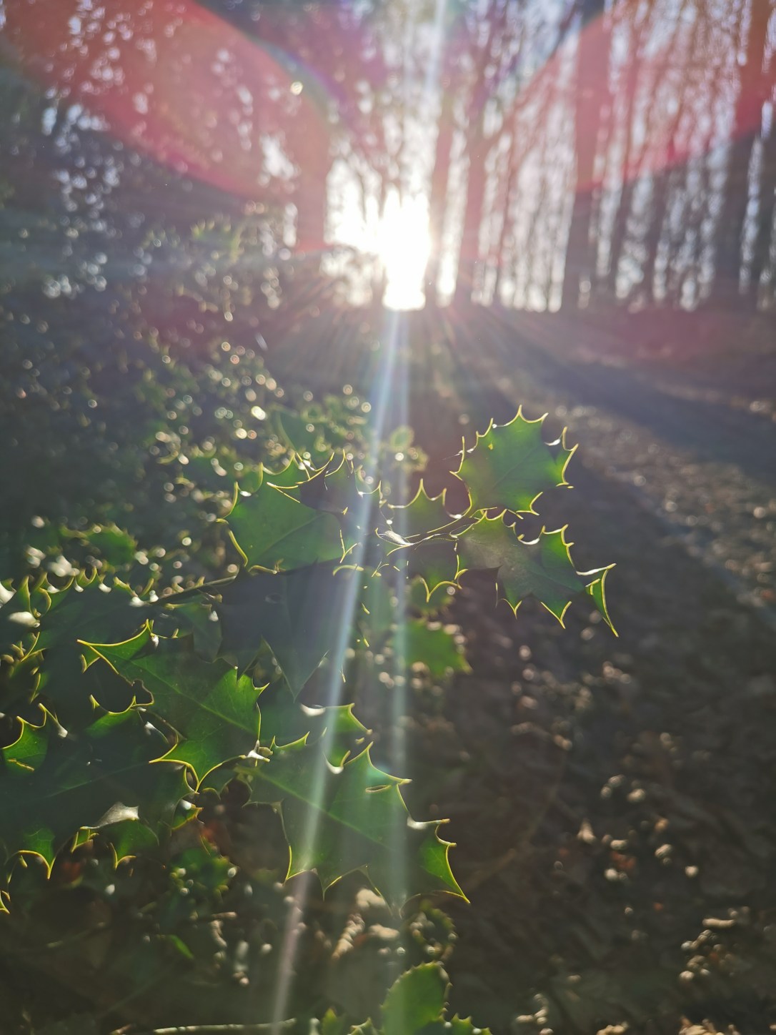 A Tale of Two&nbsp;Kings