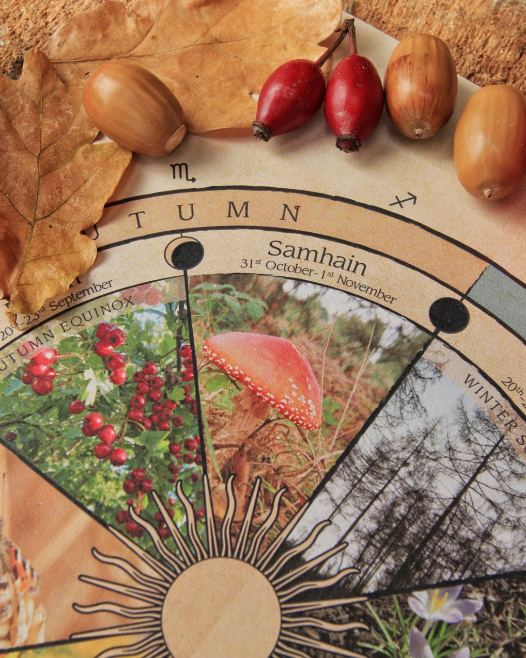 A Guide to&nbsp;Samhain