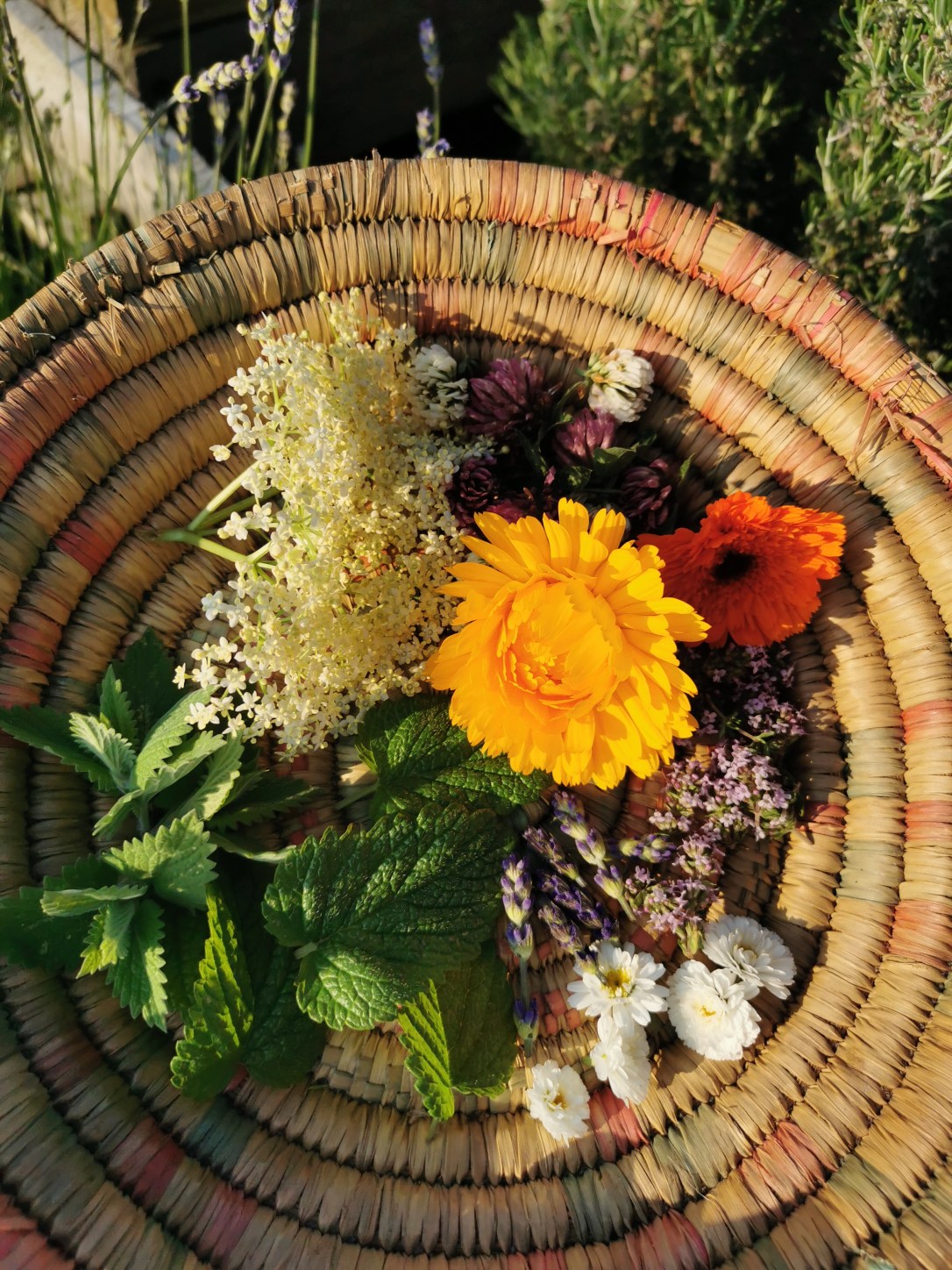 Slow Rituals & Reflections at the Summer&nbsp;Solstice