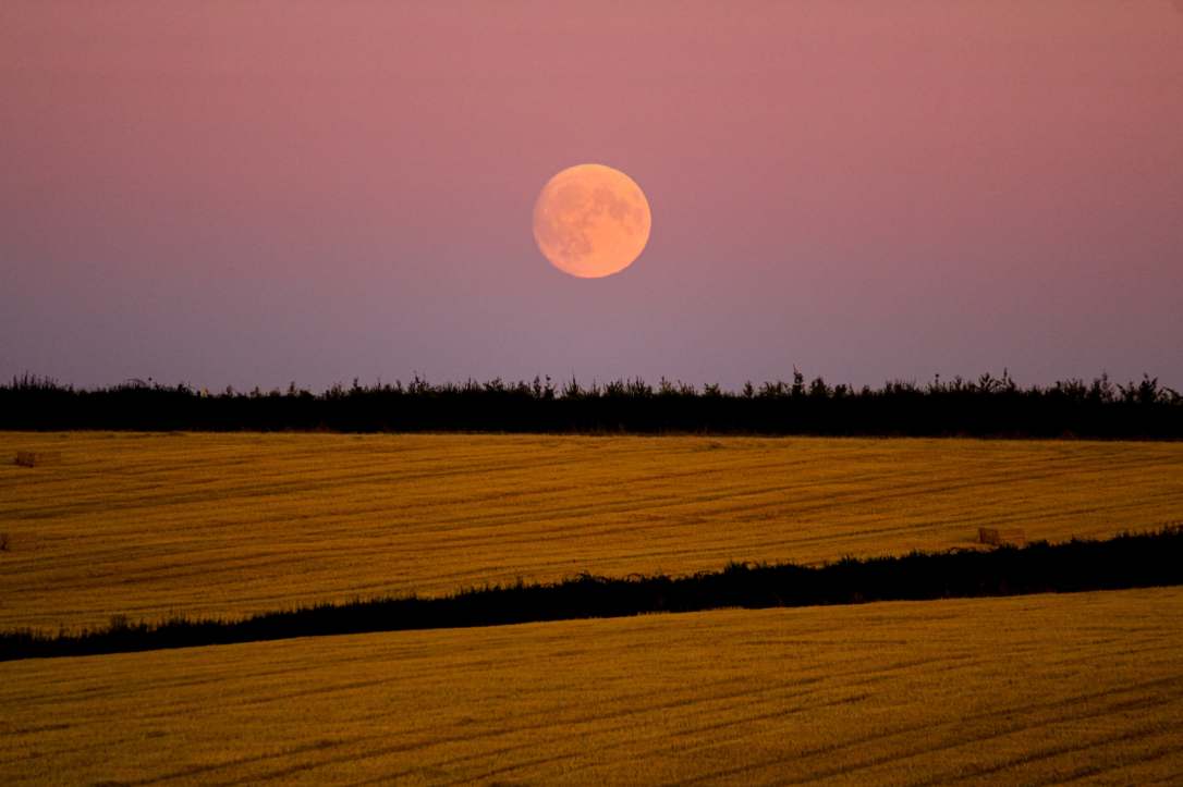 Harvest Moon blessings