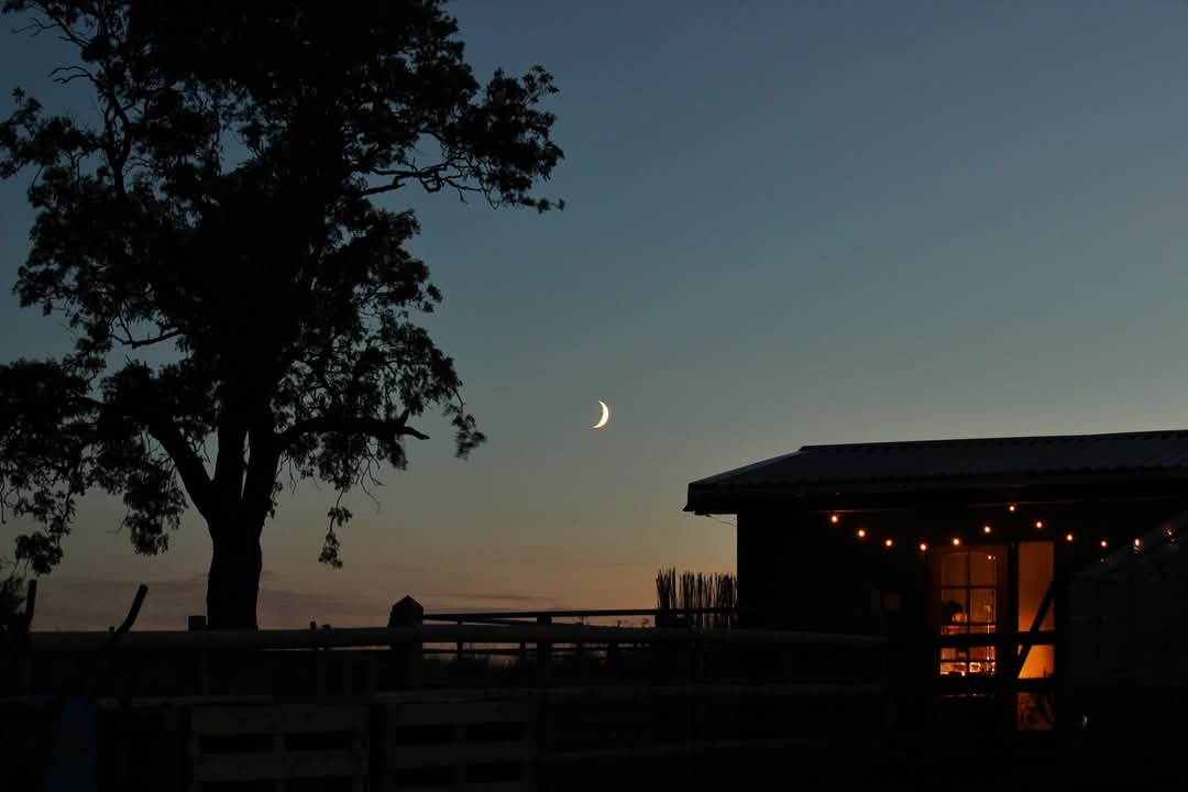 How did we end up&nbsp;here?