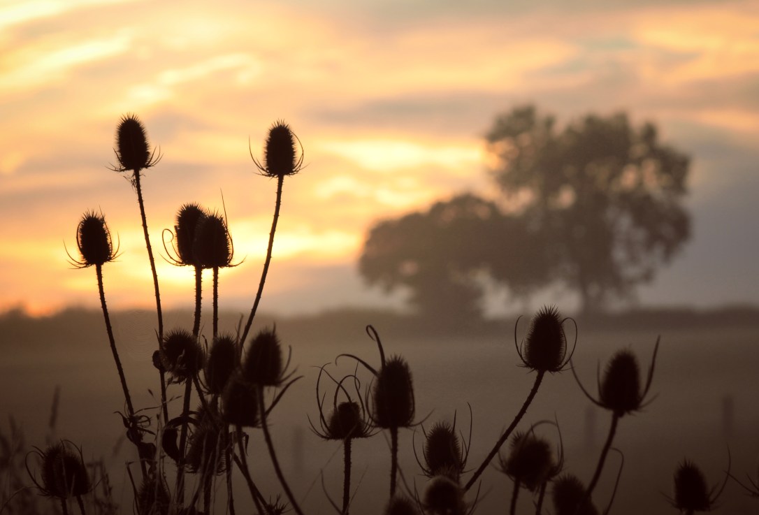 A Sunday afternoon in September